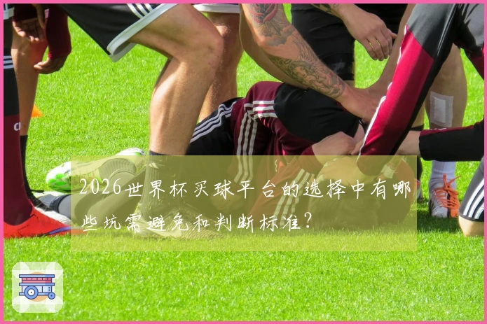 2026世界杯买球平台的选择中有哪些坑需避免和判断标准？