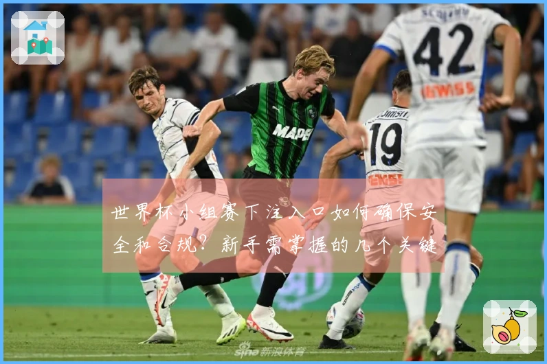 世界杯小组赛下注入口如何确保安全和合规？新手需掌握的几个关键点