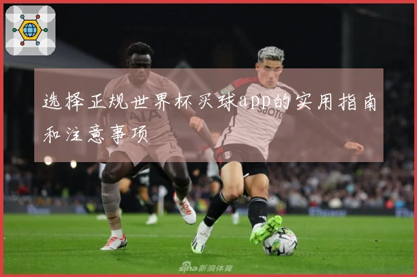 选择正规世界杯买球app的实用指南和注意事项