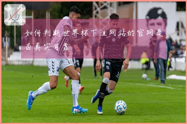 如何判断世界杯下注网站的官网是否真实可靠