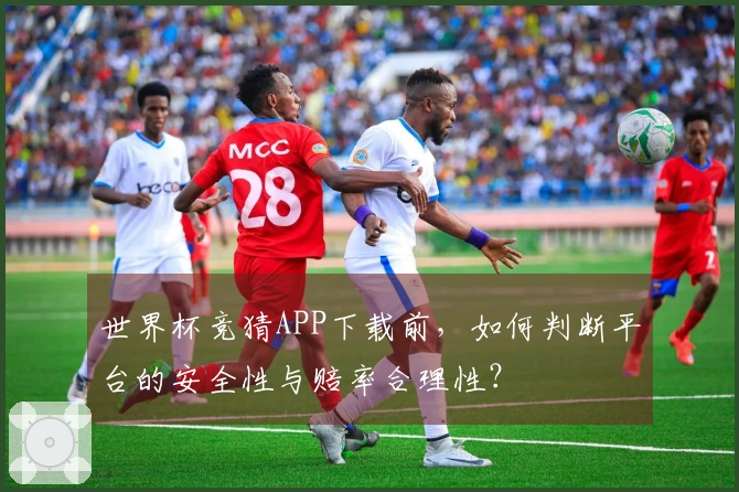 世界杯竞猜APP下载前，如何判断平台的安全性与赔率合理性？
