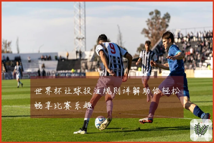 世界杯让球投注规则详解助你轻松畅享比赛乐趣