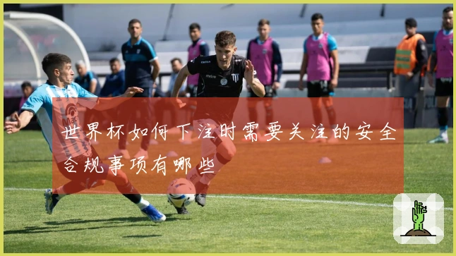 世界杯如何下注时需要关注的安全合规事项有哪些