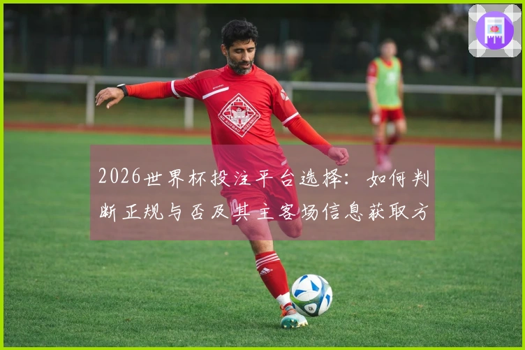 2026世界杯投注平台选择：如何判断正规与否及其主客场信息获取方法