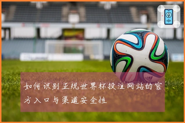 如何识别正规世界杯投注网站的官方入口与渠道安全性