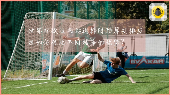 世界杯投注网站选择时预算安排应该如何对比不同赔率的优势?