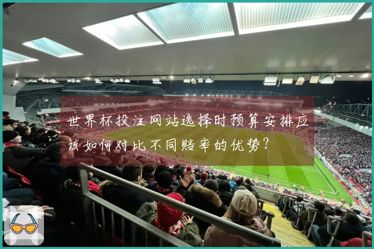 世界杯投注网站选择时预算安排应该如何对比不同赔率的优势？