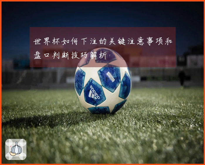 世界杯如何下注的关键注意事项和盘口判断技巧解析
