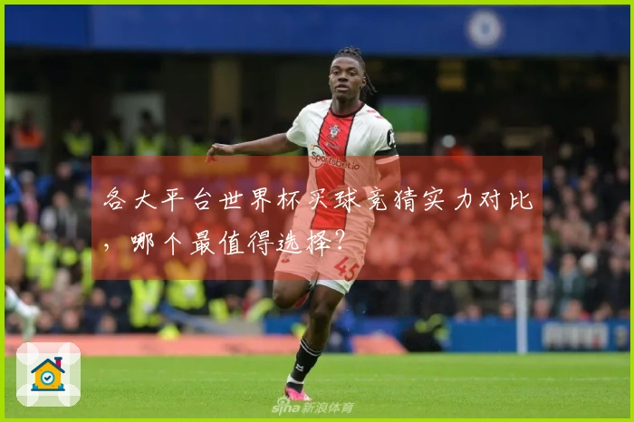 各大平台世界杯买球竞猜实力对比，哪个最值得选择？