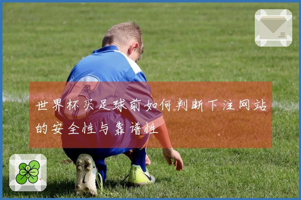 世界杯买足球前如何判断下注网站的安全性与靠谱性