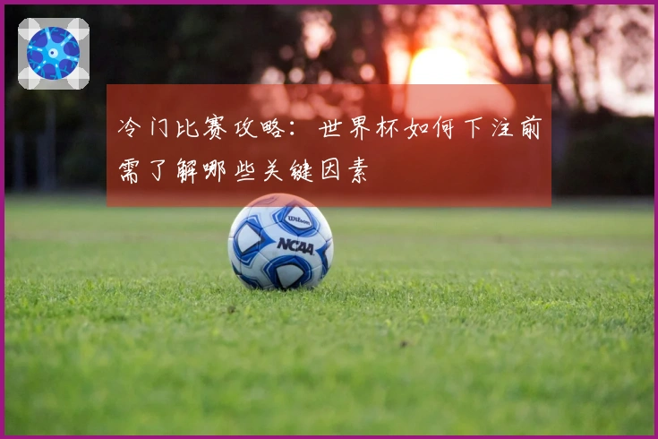 冷门比赛攻略：世界杯如何下注前需了解哪些关键因素