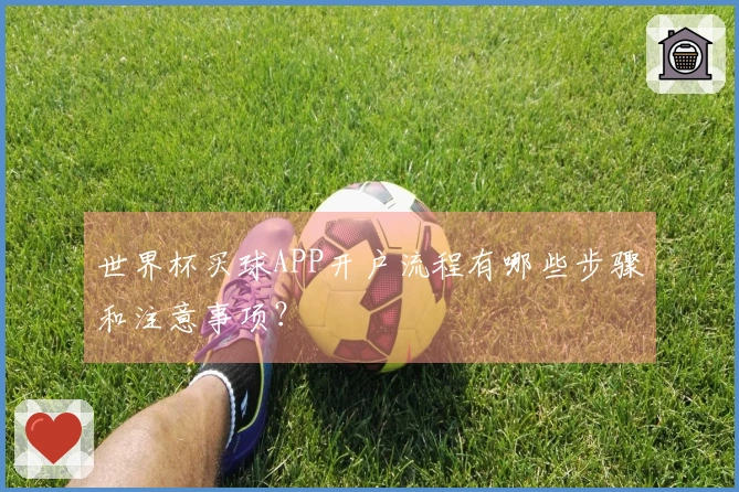 世界杯买球APP开户流程有哪些步骤和注意事项？