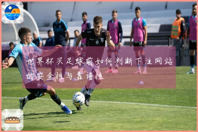世界杯买足球前如何判断下注网站的安全性与靠谱性